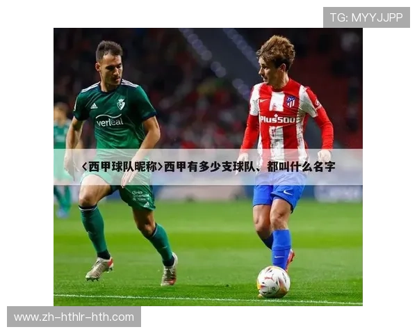 法甲防守数据表格统计及球队防守能力评估